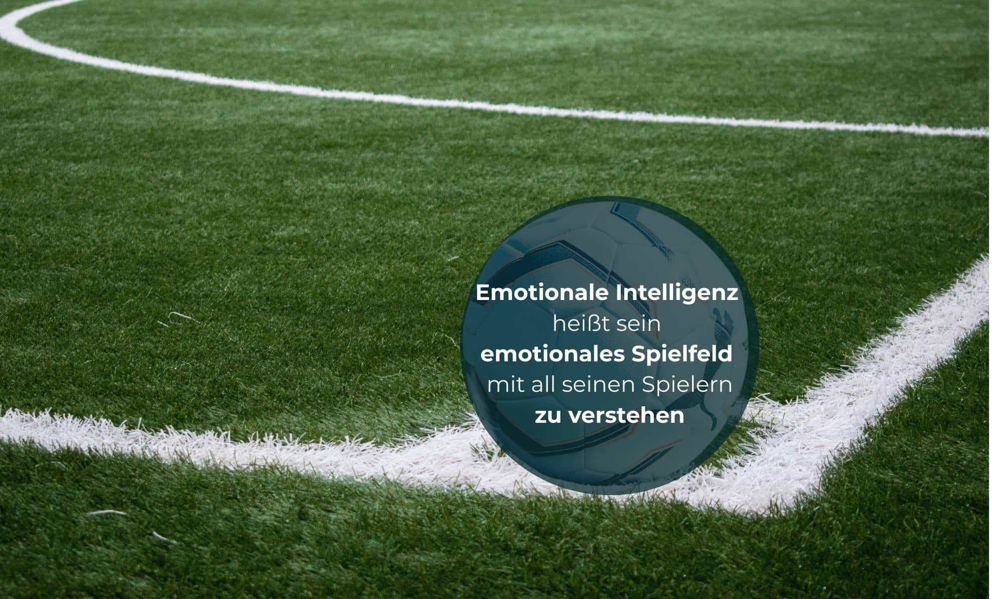 Emotional Intelligenz heißt sein emotionales Spielfeld zu verstehen