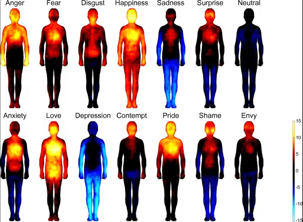 Wo im Körper sind welche Emotionen