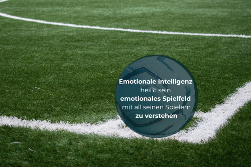 Emotional Intelligenz heißt sein emotionales Spielfeld zu verstehen